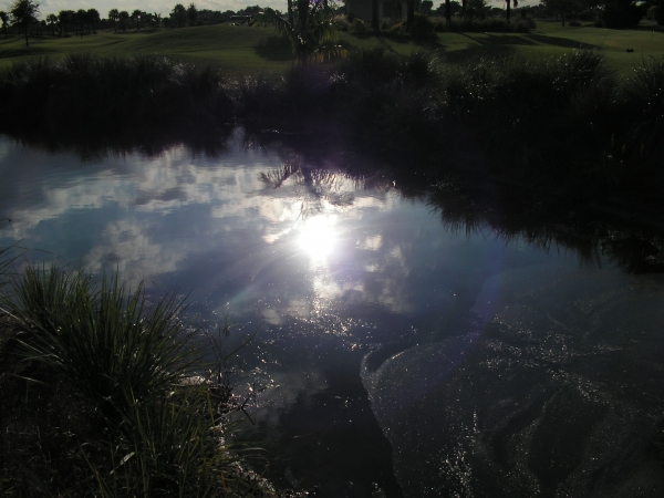 Creation of Swans on Water: Step 2